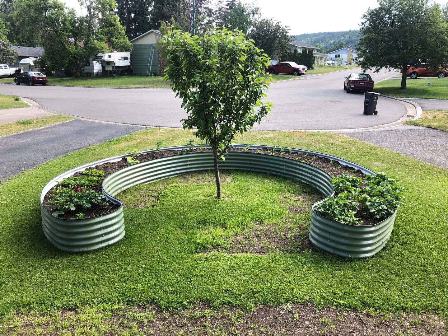 Customer photo review of 17" Tall Nest