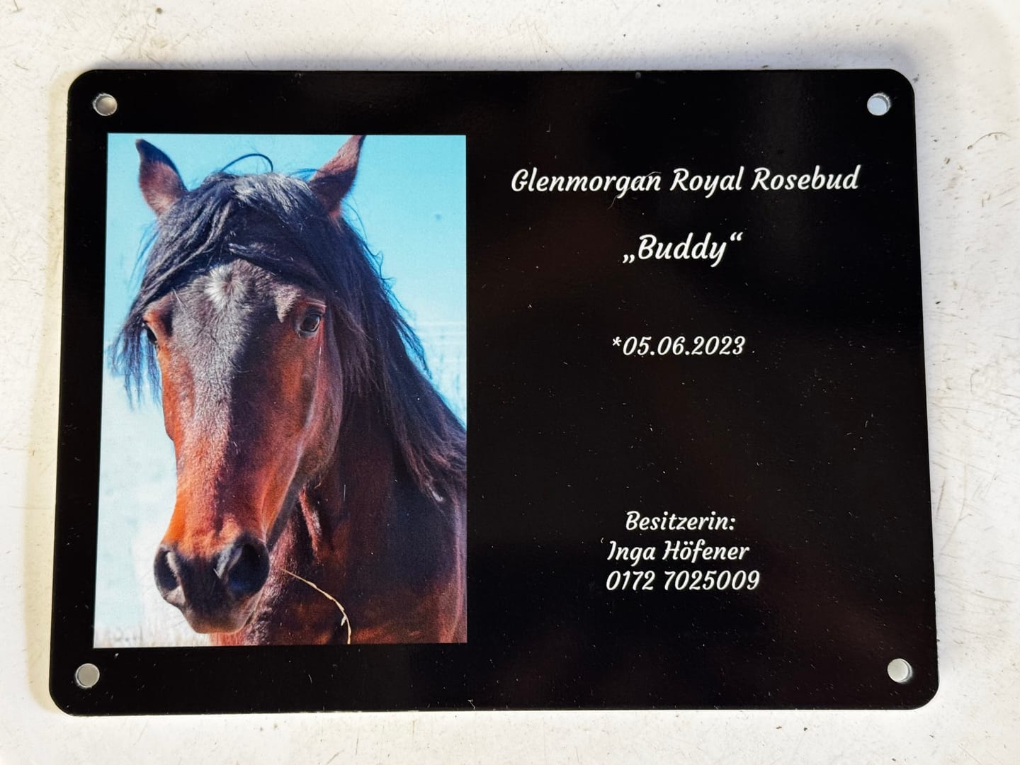 Customer photo review of Pferde Boxenschild mit Foto & Wunschtext (UV- und wetterfest)