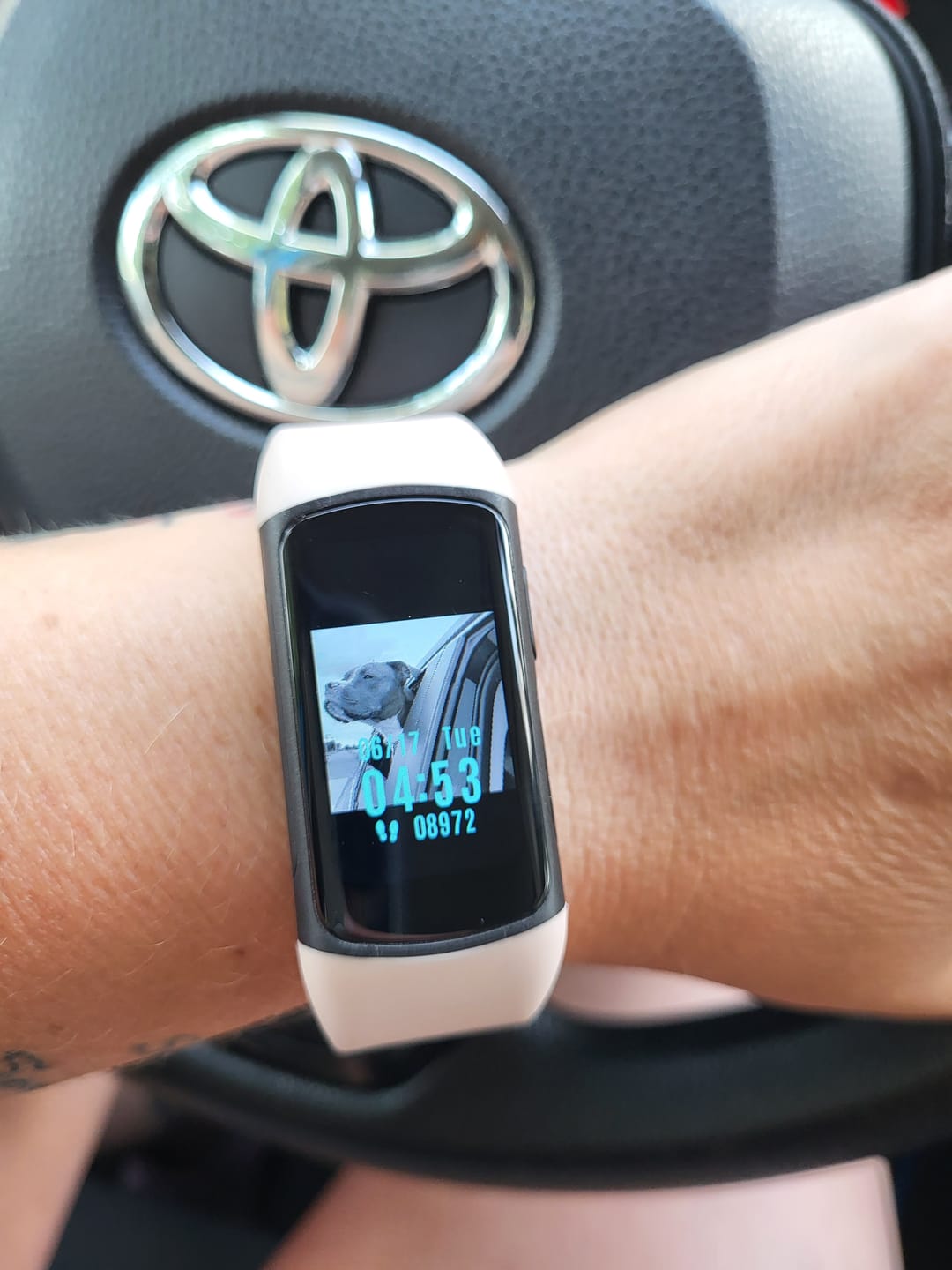 Customer photo review of FITAOS ECG Blood Glucose Blood Oxygen Monitoring Smart Bracelet