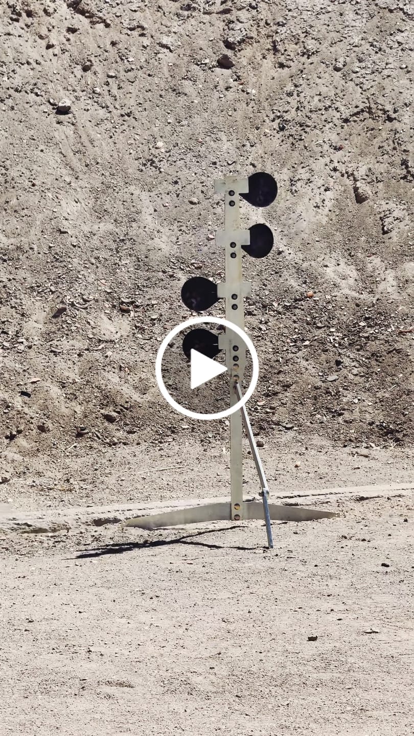Customer video review of Dueling Tree Target
