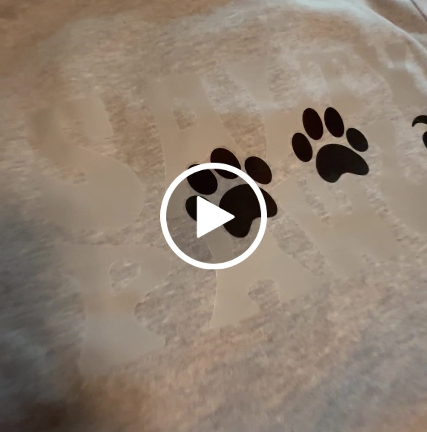 Customer video review of Salty Pawz White/Grey - Sports Grey (Adult Hoodie)