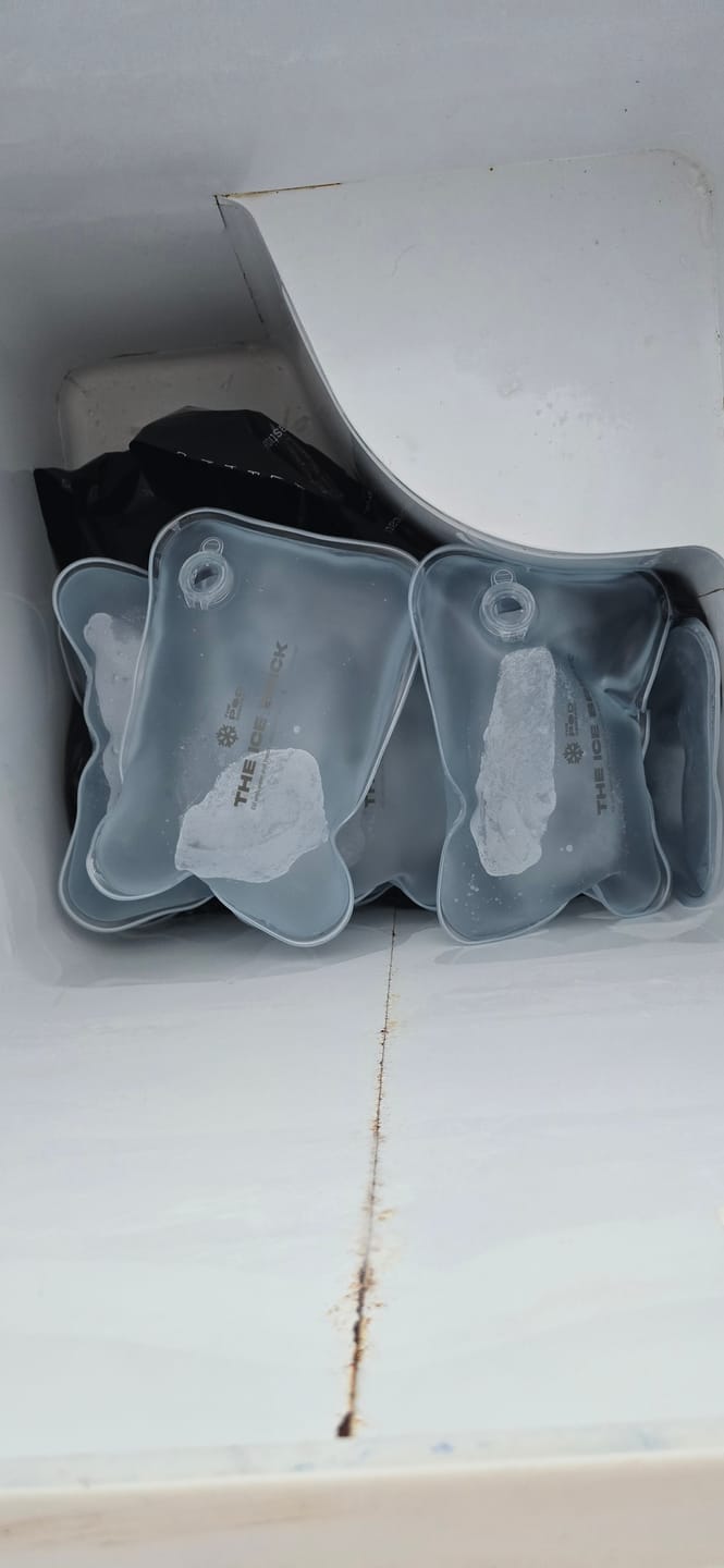 Customer photo review of The Ice Brick