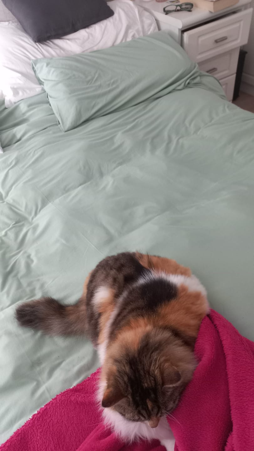 Customer photo review of Duvet Cover Set - Fauna