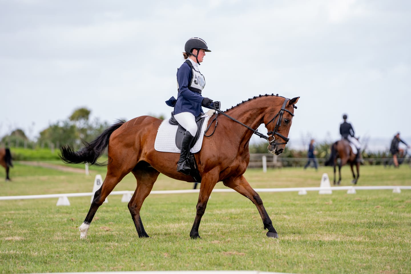 Customer photo review of Digestive EQ - Equine Gut Supplement