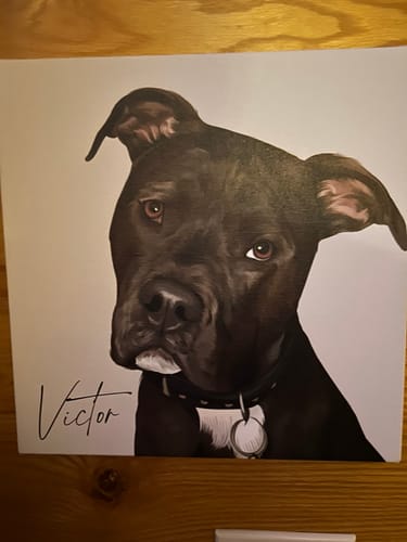 Customer photo review of Pet Art Canvas Wrap