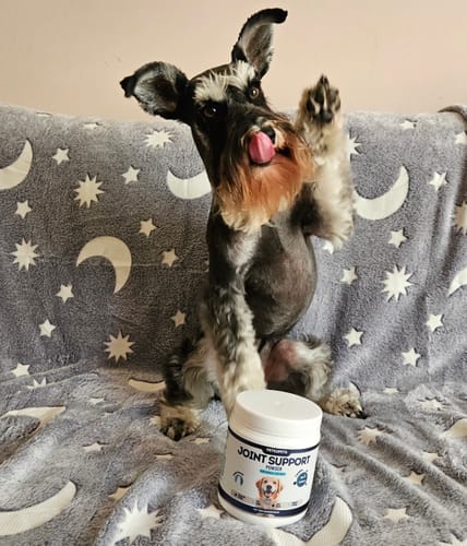 Customer photo review of Joint Support Powder