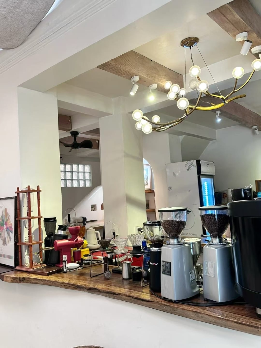 Customer photo review of Rustic Tree Branch Chandelier, Dimmable