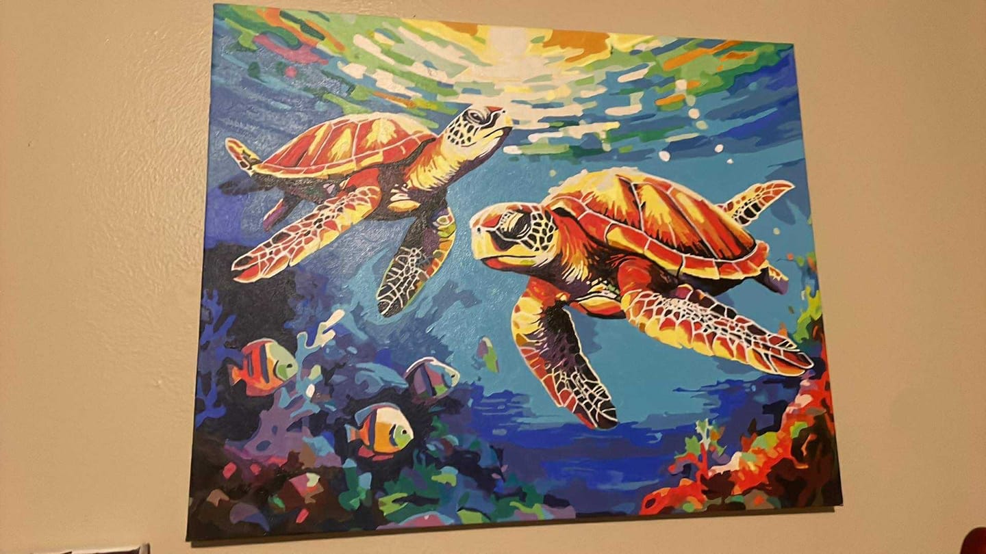 Customer photo review of Sea Turtles