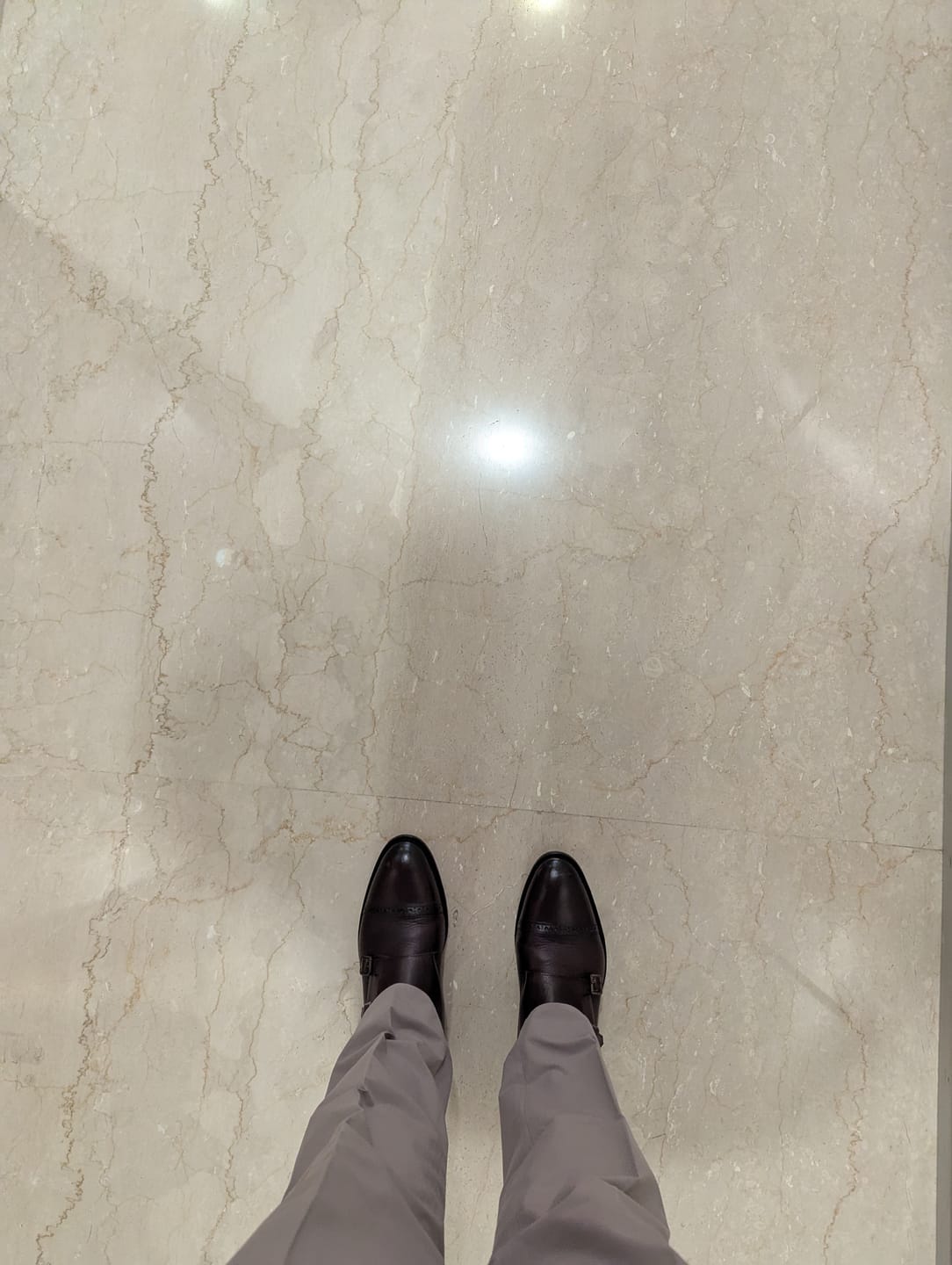 Customer photo review of Goodyear Welted - Double Monk Strap - Brown