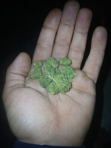 Customer photo review of Jager Sour Diesel - Bulk Littles - Sativa