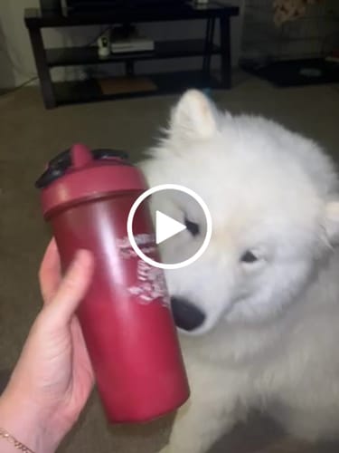Customer video review of Shaker Bottle | 20 oz | Red/Black