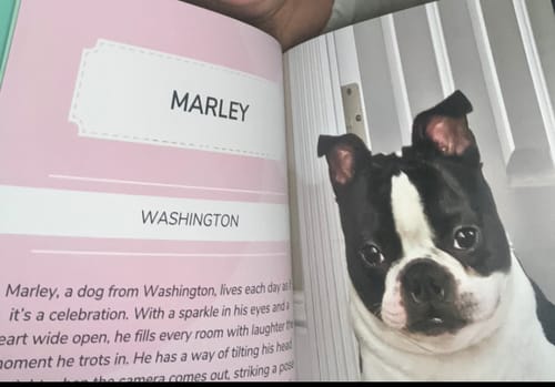 Customer photo review of Cutest Pets of the Month 2025 Photobook