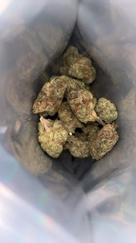 Customer photo review of Top Seller - 28 Grams - $60.00+