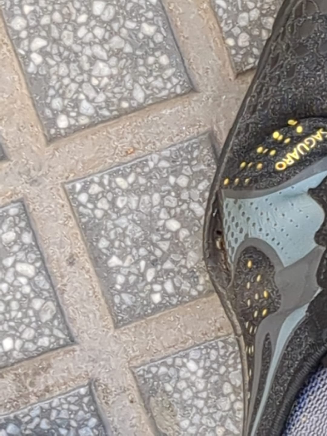 Customer photo review of Fast Ⅰ - Zapatos Barefoot