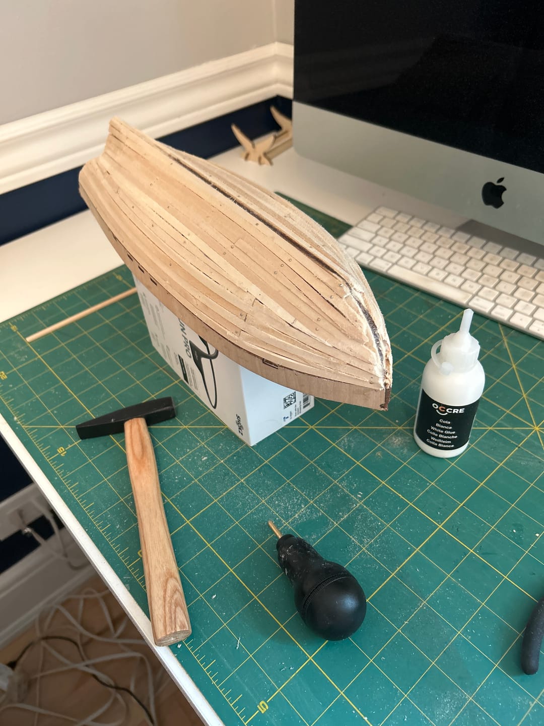 Customer photo review of Maqueta Barco Polaris Starter Pack