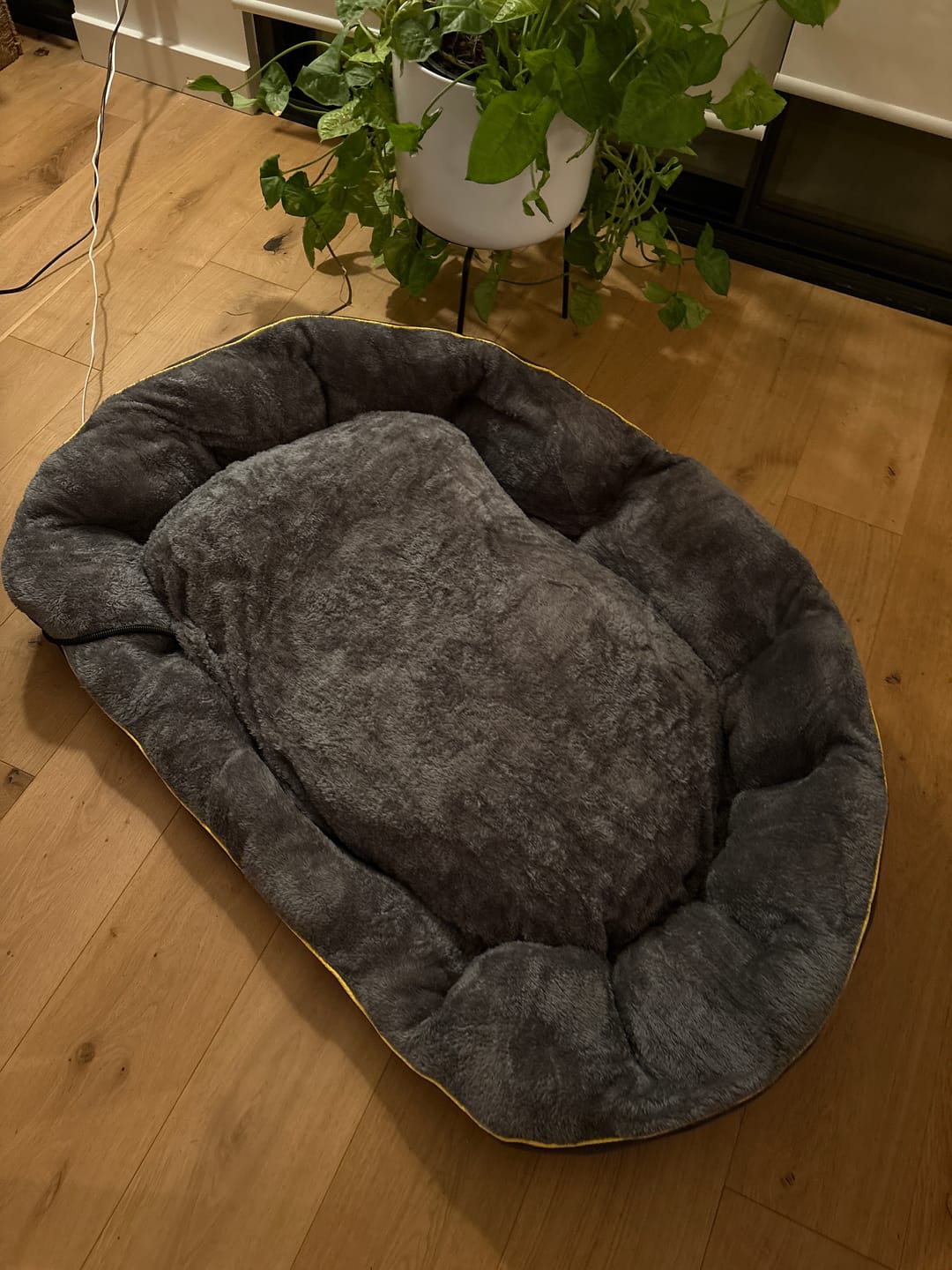 Customer photo review of PaWz Electric Pet Heater Bed Thermal Protection