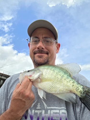 Customer photo review of Magic Moss 16-in-1 Super Blend