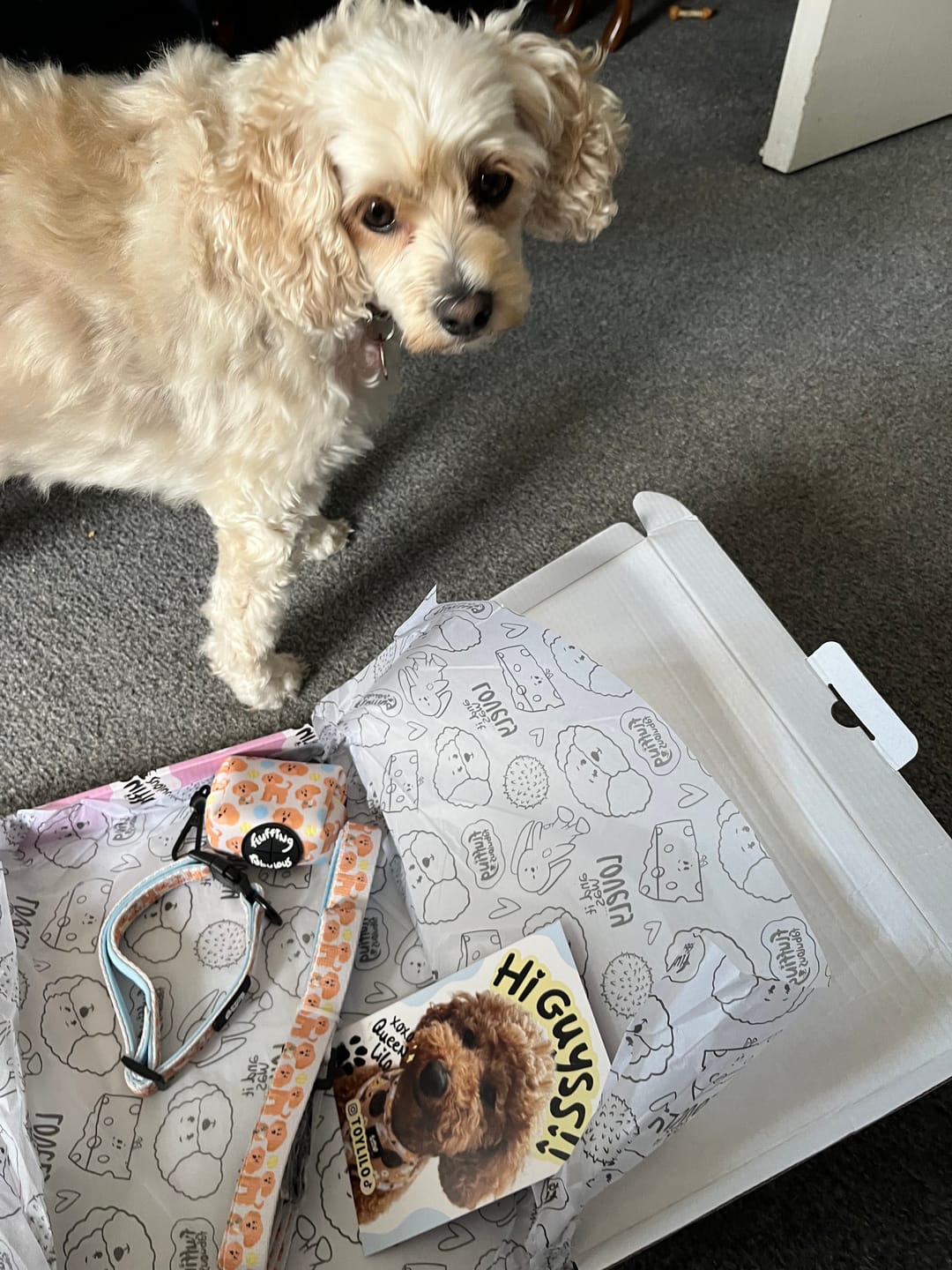 Customer photo review of Lead - Curly Club Collection