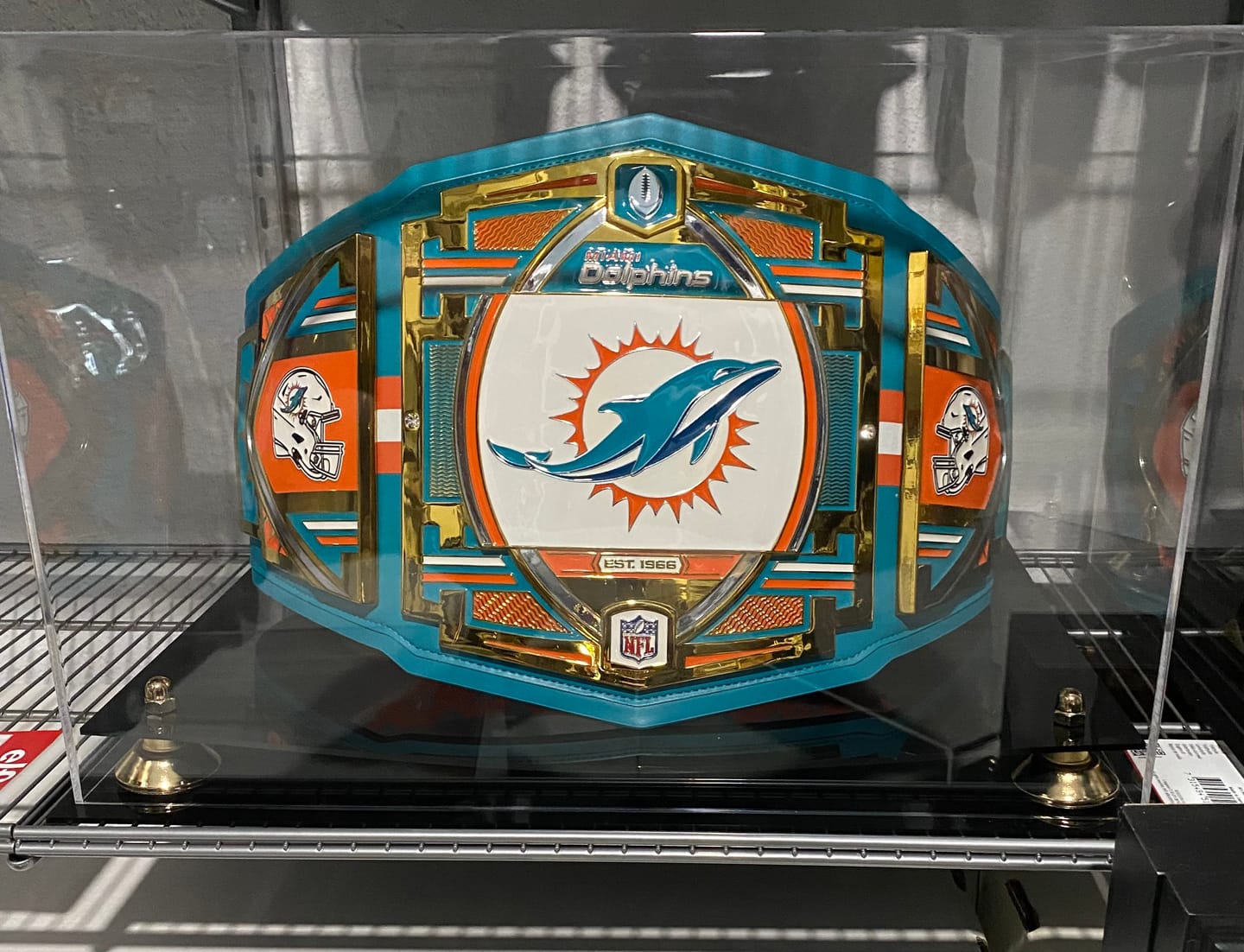 Customer photo review of Clear Acrylic Wrestling Belt Display Case (A014)