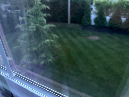 Customer photo review of Protene Hybrid Summer Fertilizer 6-0-0 +14% Fe