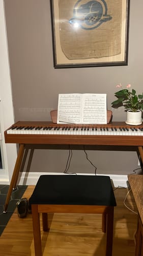 Customer photo review of Donner DDP-80 88 Key Wooden Style Home Digital Piano with Weighted Keyboard