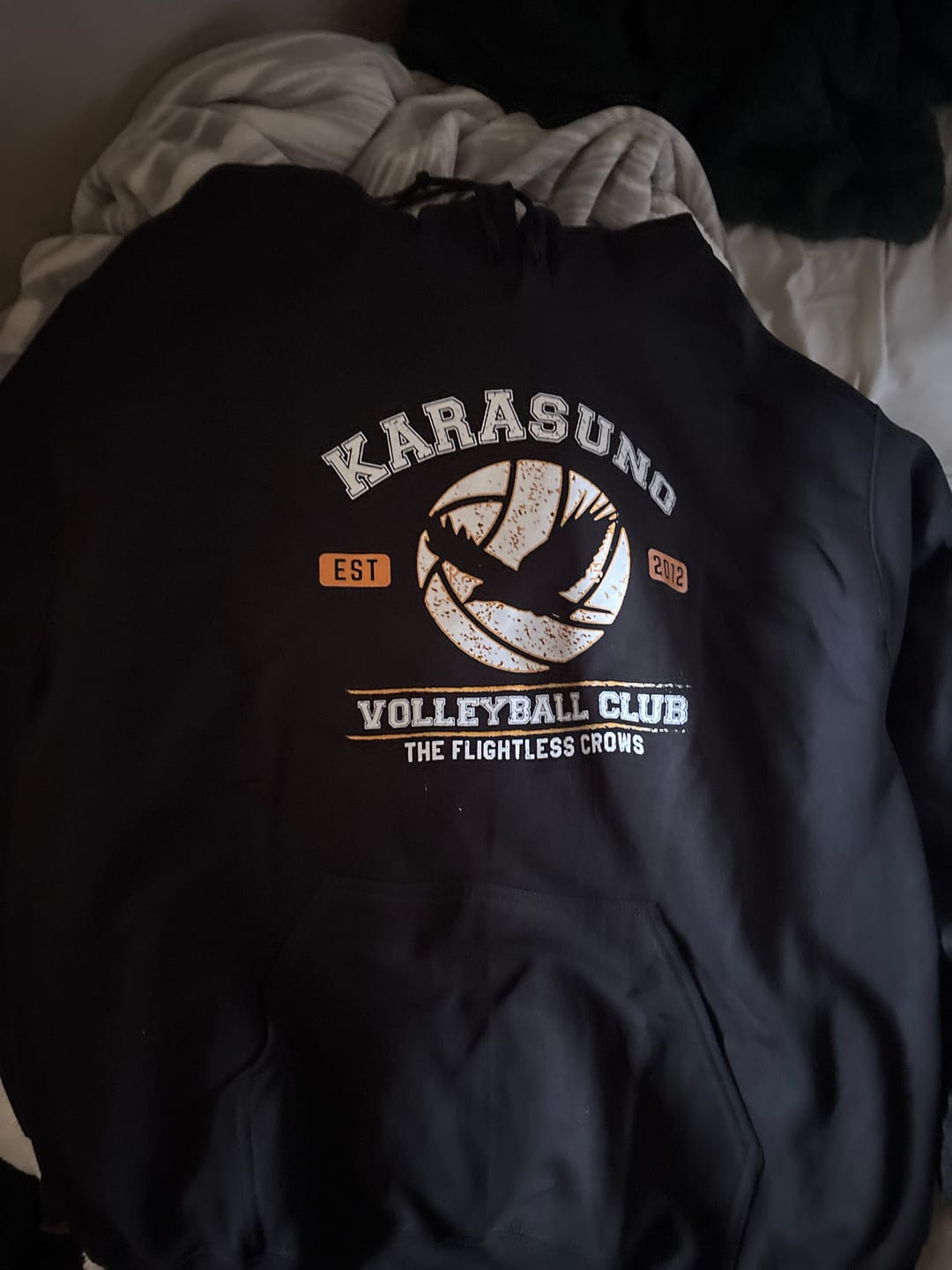 Customer photo review of Karasuno Hoodie