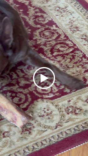 Customer video review of Smoked Beef Marrow Bone