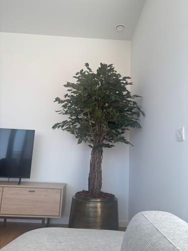 Customer photo review of Ficus Liana Kunstplant 180cm