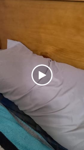 Customer video review of The Marshmalloo Pillow