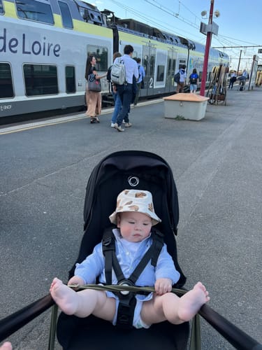 Adele R. review of SIGNATURE DOG BOB image 1 out of 1