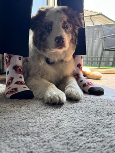 undefined review of Personalisierte Socken mit deinem Haustier image 1 out of 3