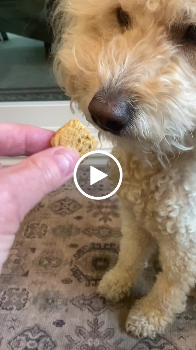 Customer video review of Peanut & Banana