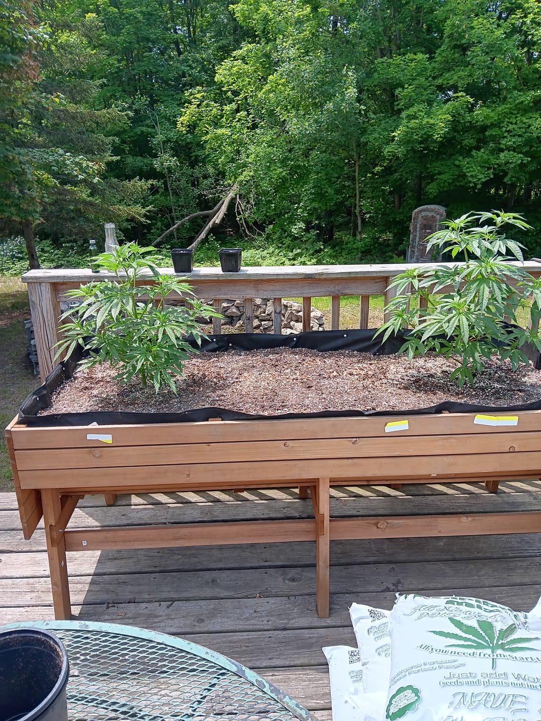 Customer photo review of Elm Power Bundle