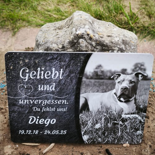 Customer photo review of Hunde Gedenktafel mit Foto & Spruch (UV- &  Wetterfest)