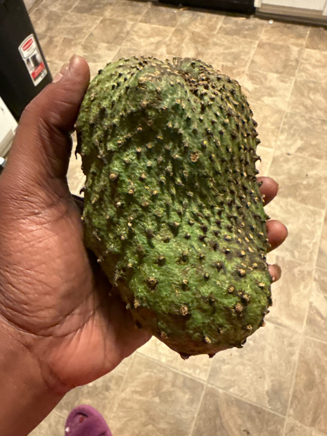 Customer photo review of Premium Soursop (Guanabana)