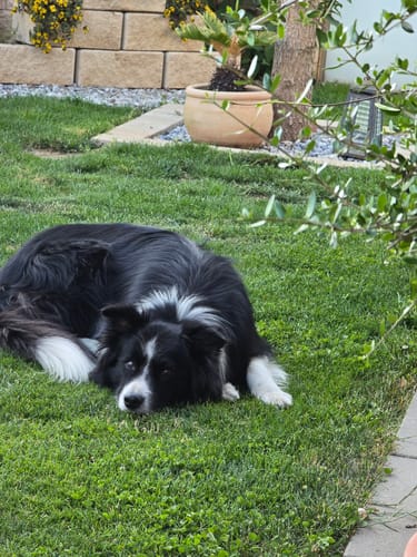 Customer photo review of Relax Time