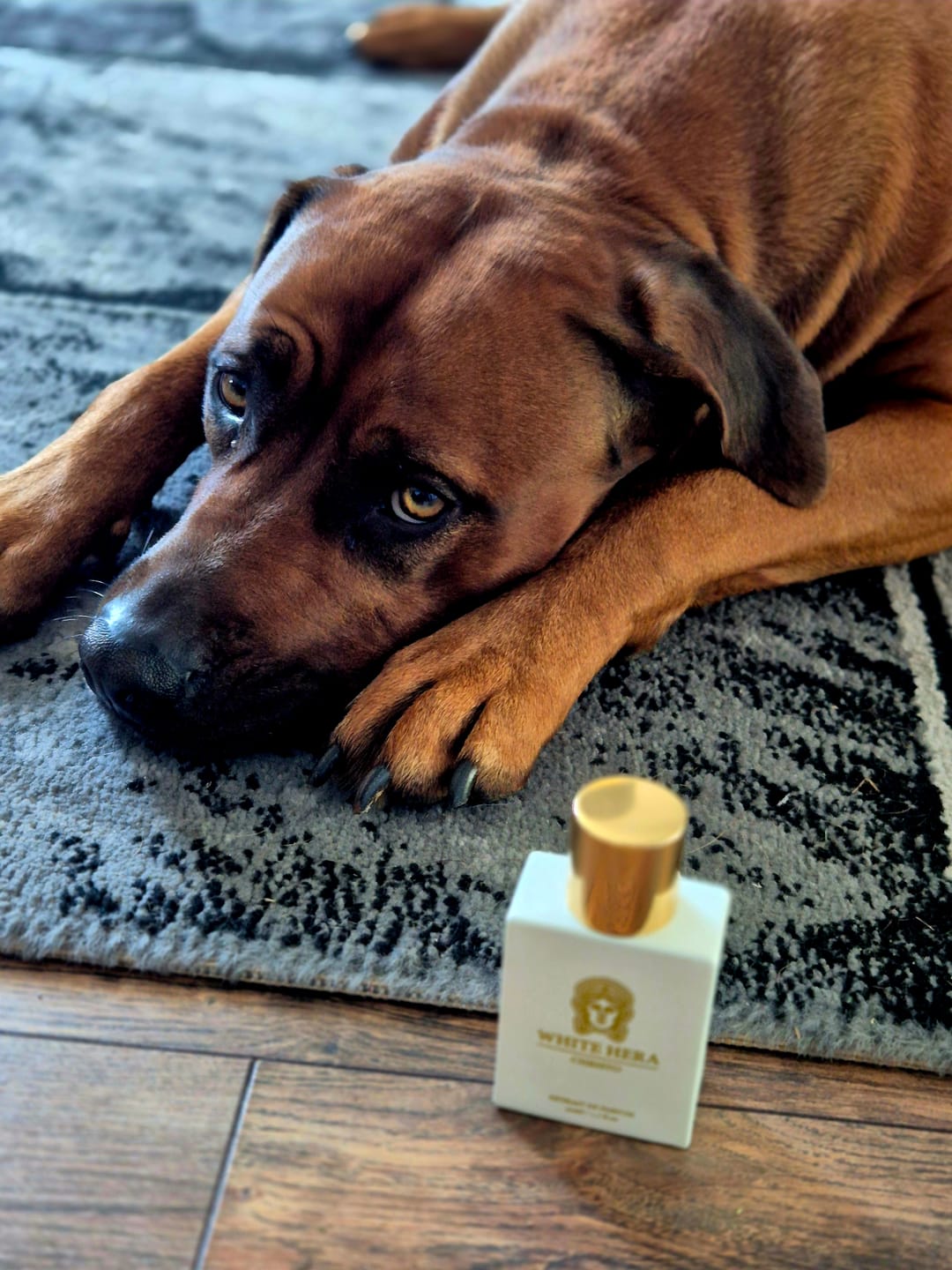 Customer photo review of WHITE HERA - Damen Parfum