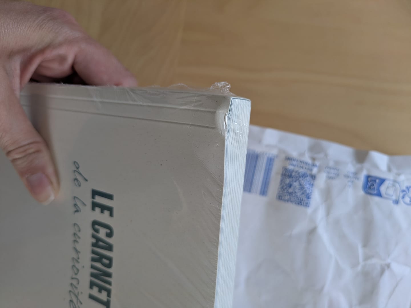 Customer photo review of Carnet de la Curiosité