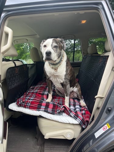 Customer photo review of RuffRover 2.0™ - Hard Bottom Back Seat Extender + (FREE Dog Bed)