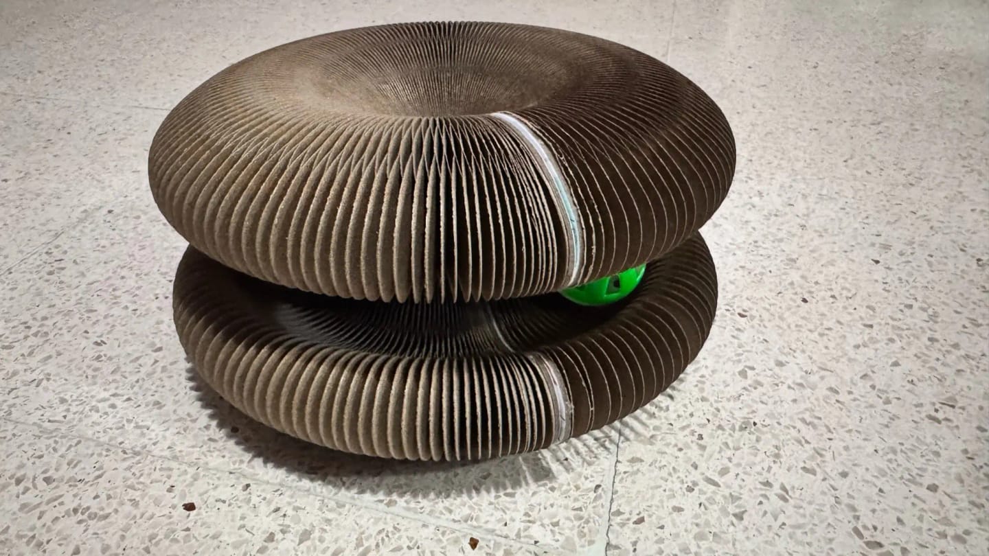 Customer photo review of Stretch-It Magic Cardboard Toy
