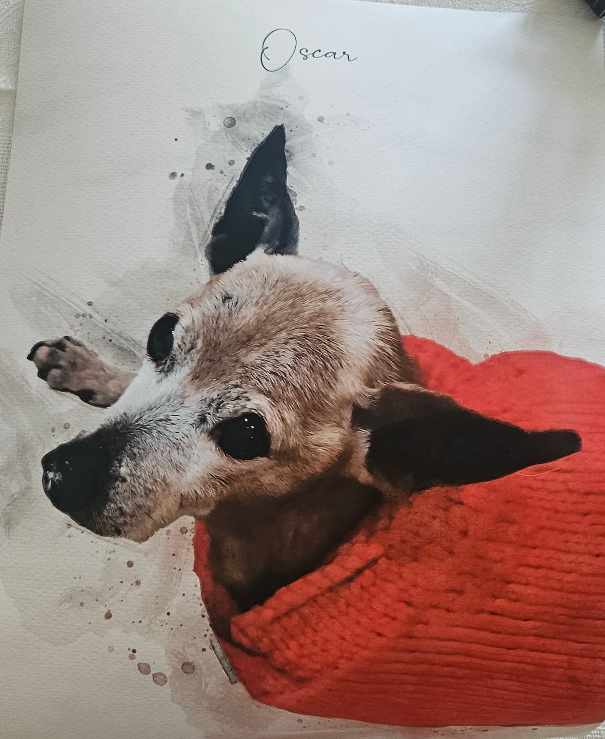 Customer photo review of Hundeportrait nach Foto