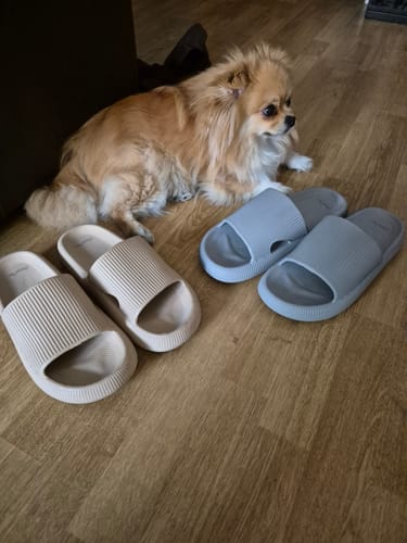 Customer photo review of HappyNote Engraving