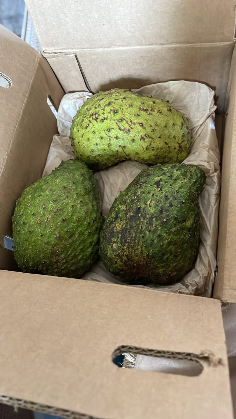 Customer photo review of Premium Soursop (Guanabana)