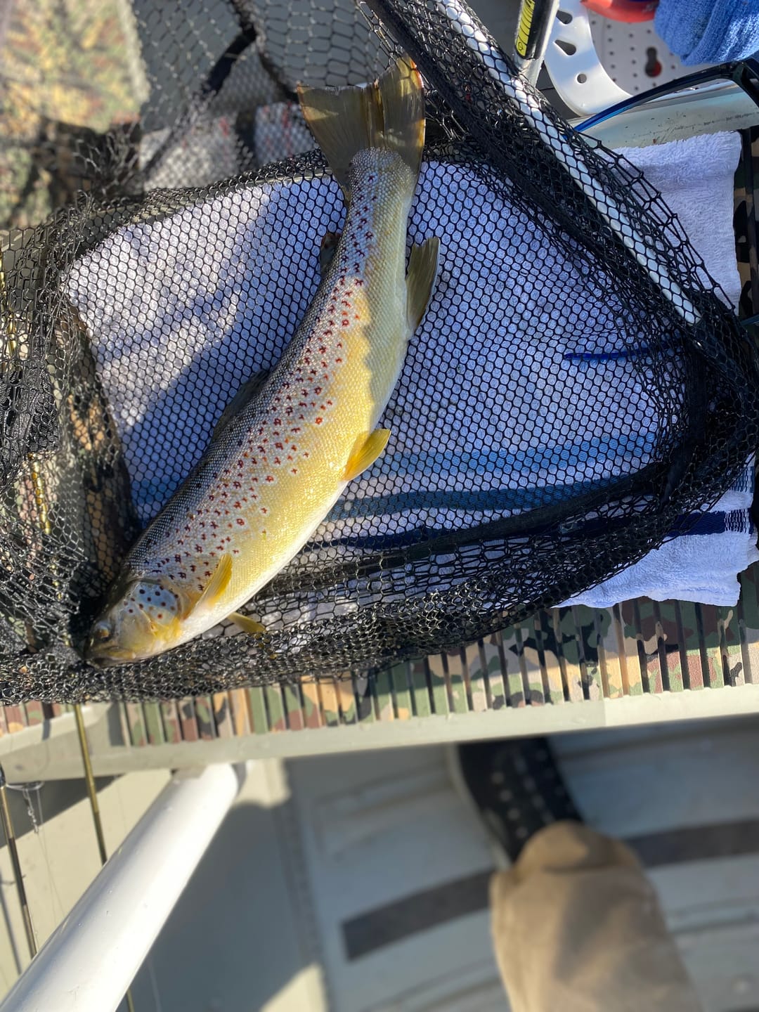 Customer photo review of STINGEYE™ Spinner