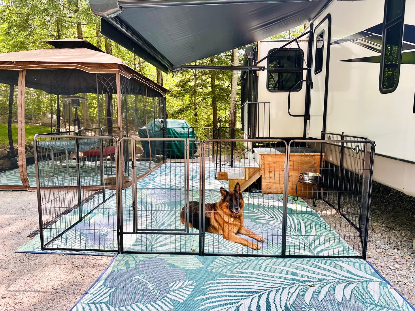 Customer photo review of Instant Dog Playpen for RV Trips