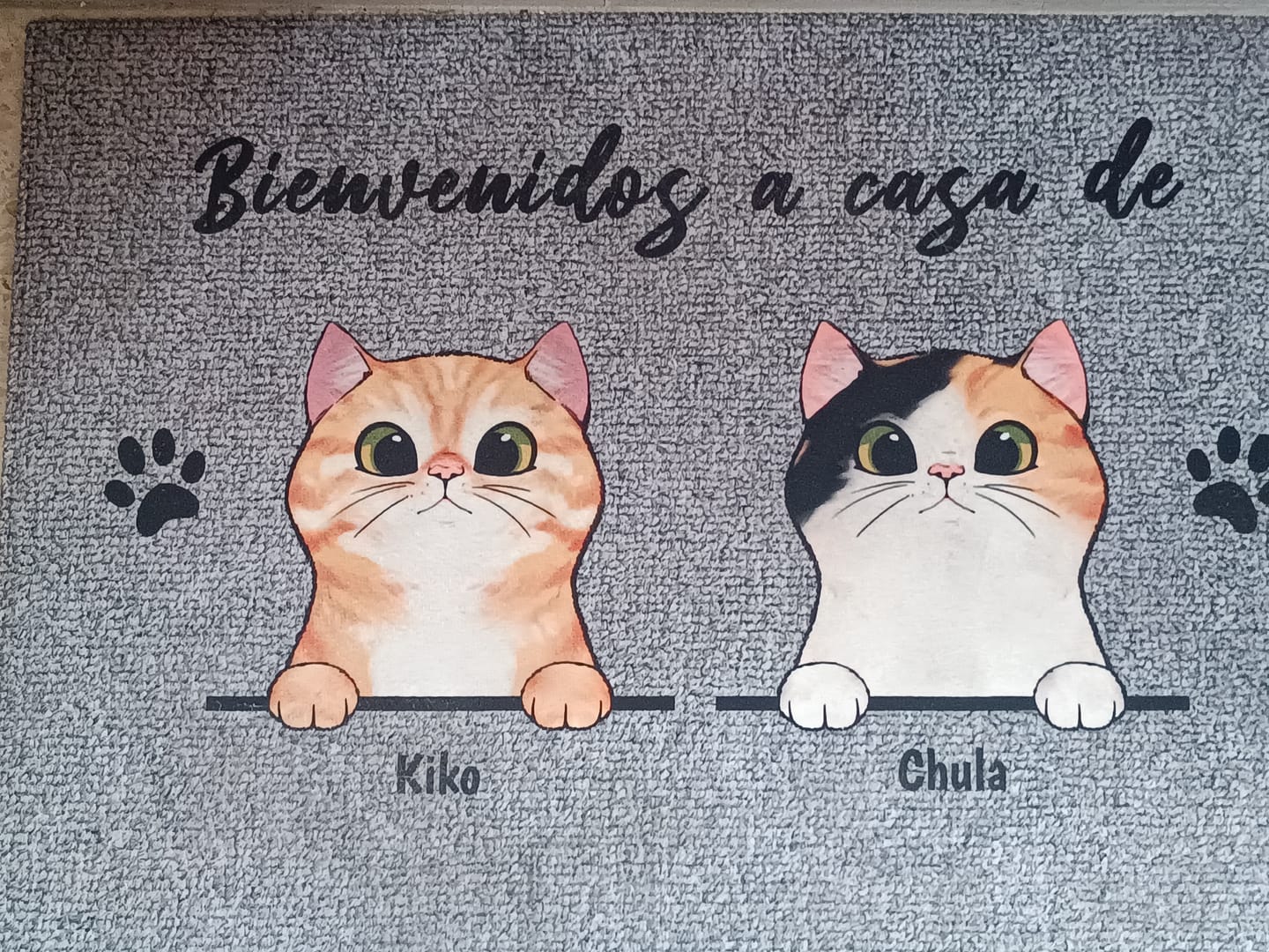 Customer photo review of Bienvenidos a lo de gatos curiosos - Felpudo personalizado