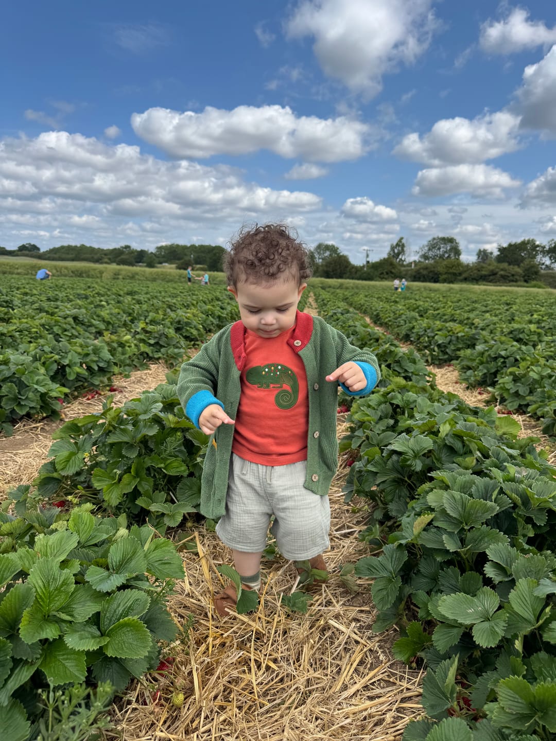 Customer photo review of From One To Another Elm Green Colour Block Knitted Cardigan