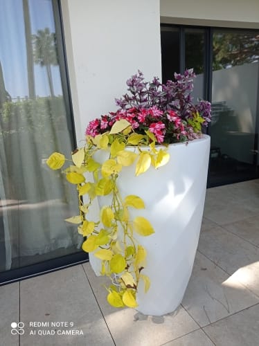 Customer photo review of Pot - Vases