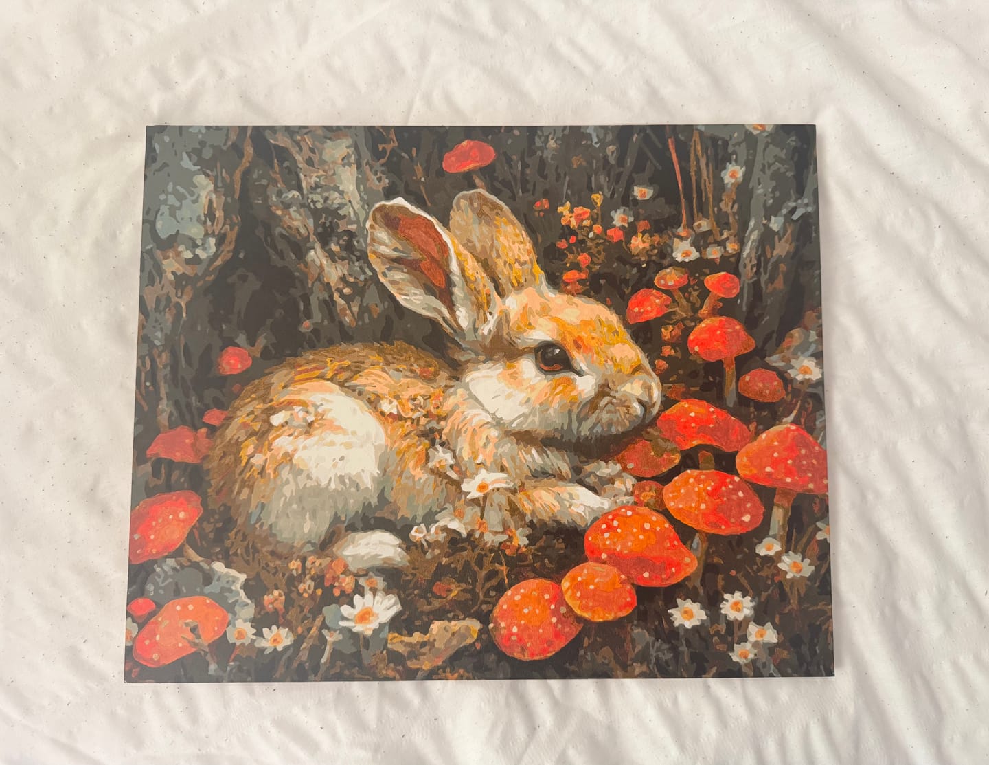 Customer photo review of Woodland Rabbit