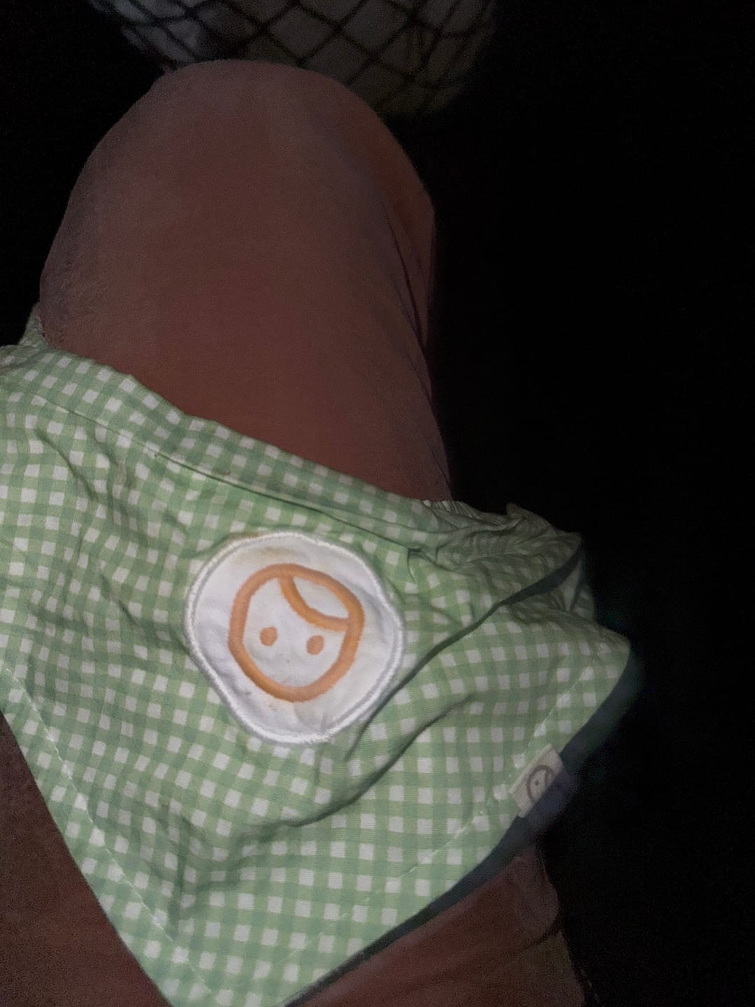Customer photo review of Organik Pamuk 2'li Sıvı Geçirmez Piknik Bandana Önlük Seti
